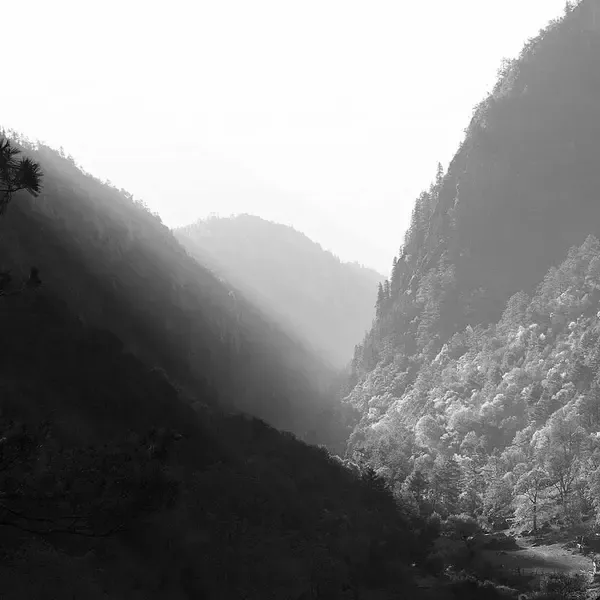 Şampuan (Demo)