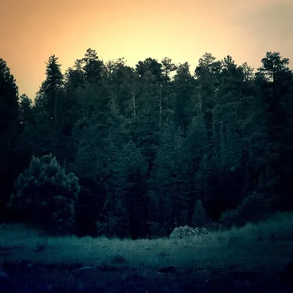 Nemlendirici (Demo)